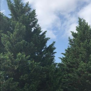 Meet your Posher, Judith